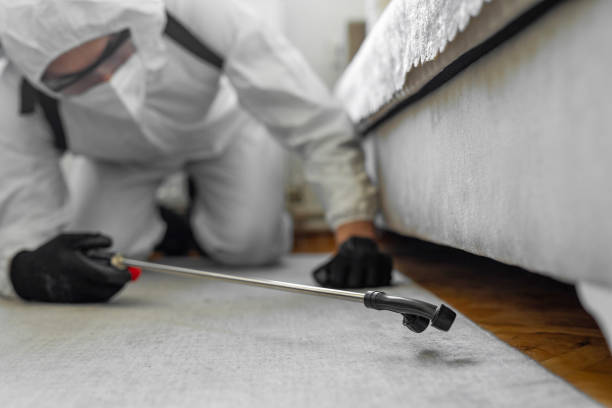 Professional Bed Bug Control technician working in Blue Mound, IL