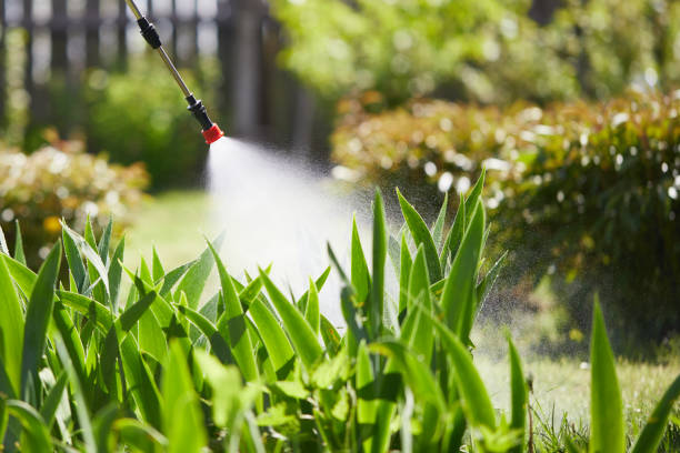 24/7 Emergency Bed Bug Control experts in Blue Mound, IL