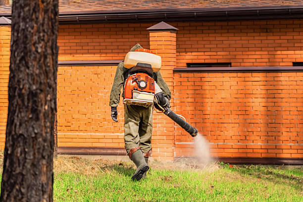 Trusted Bed Bug Control service in Blue Mound, IL - Nex Pest Control